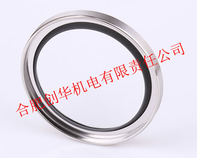 菲斯特转子秤用四氟油封