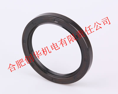 菲斯特转子秤用骨架油封
